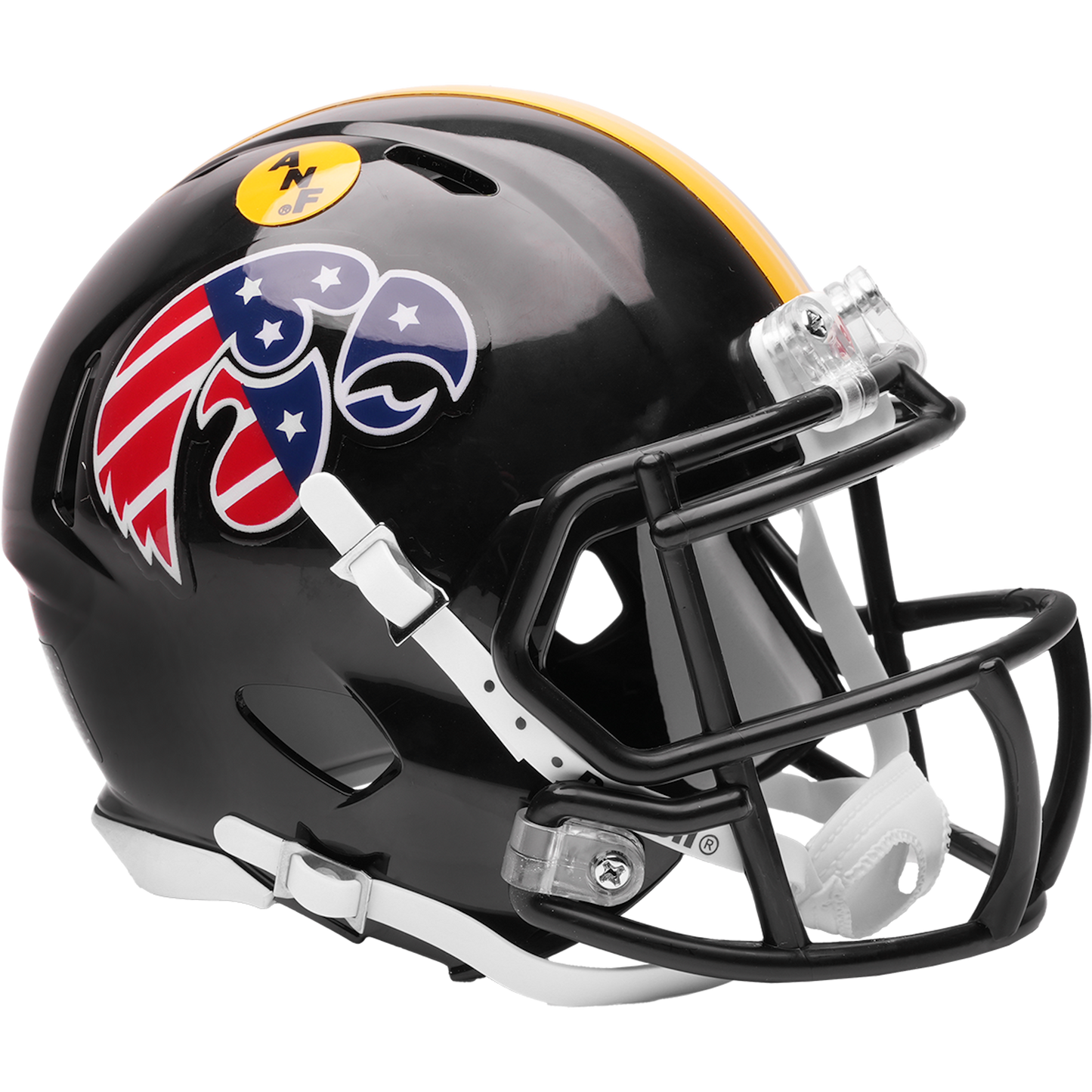 Iowa Hawkeyes mini helmet