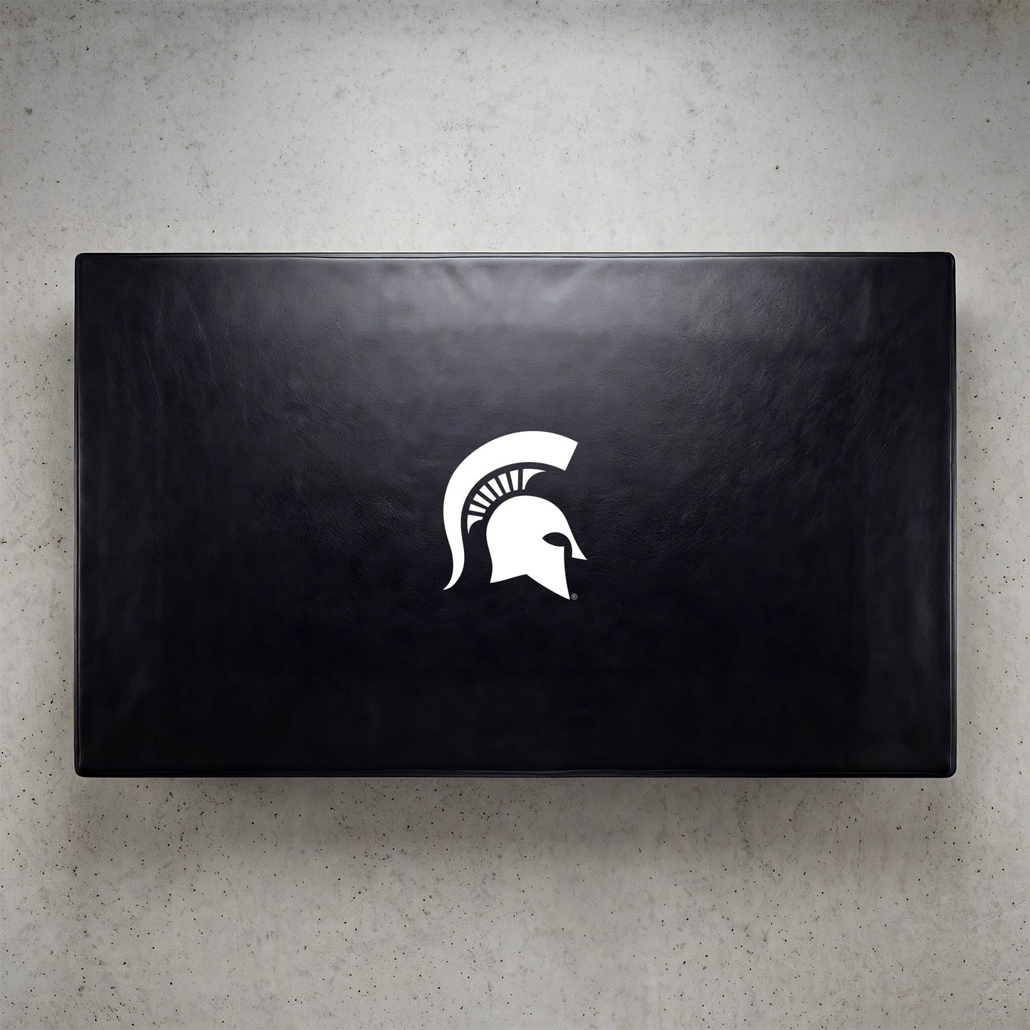 Michigan State Spartans Custom Billiards Table Cover Lifestyle