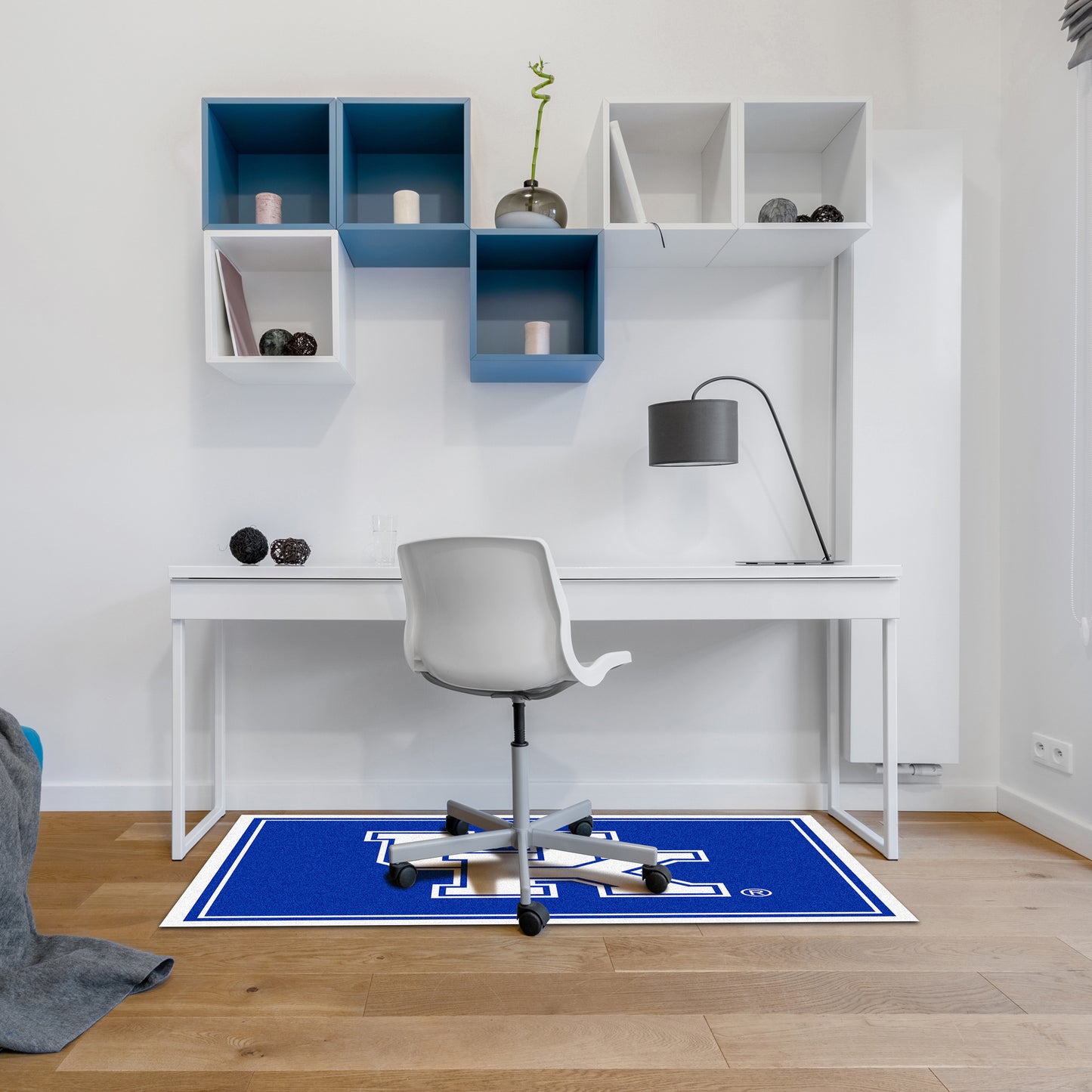 Kentucky Wildcats small area rug