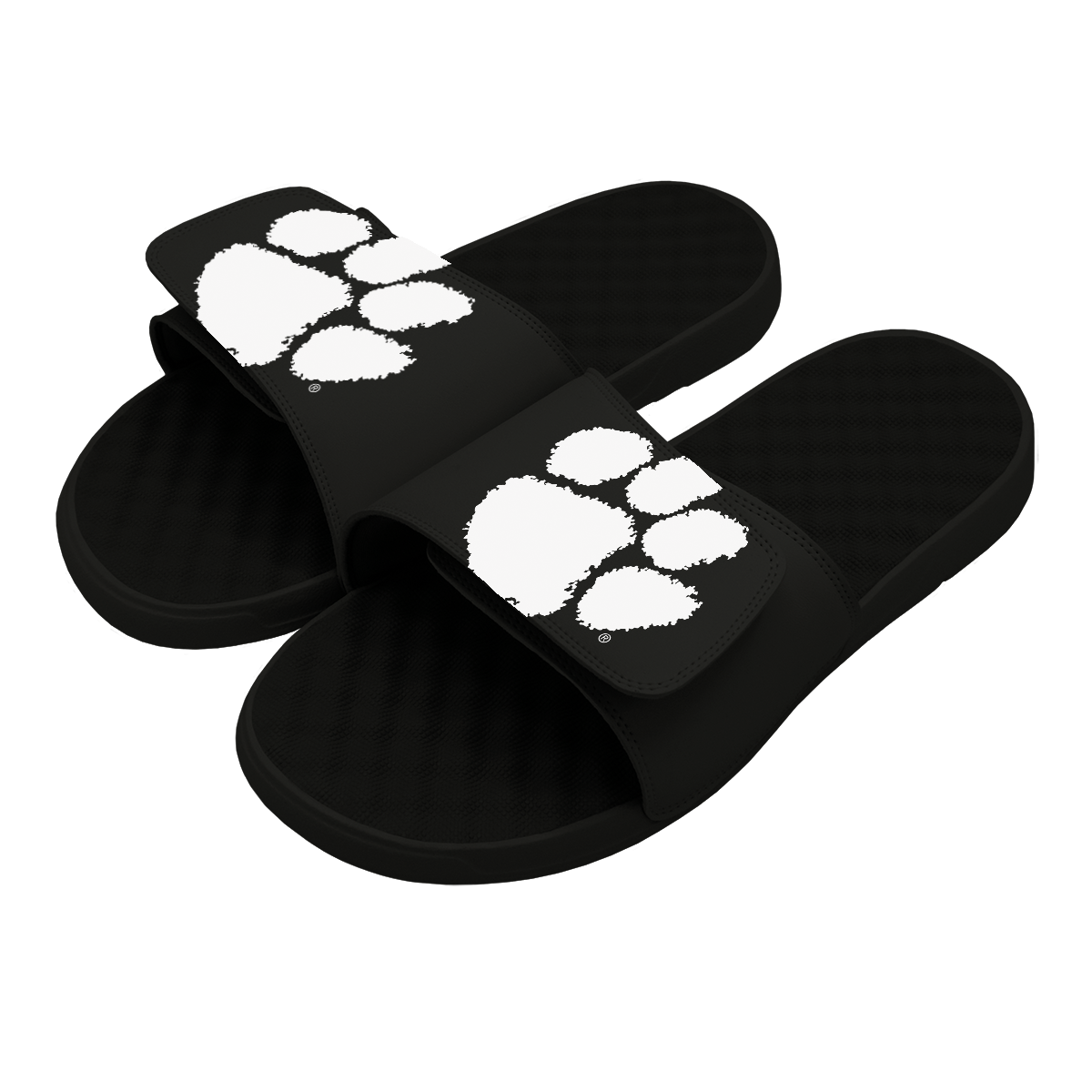 Clemson Tigers Primary Slides