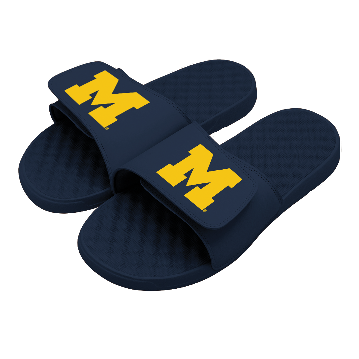 Michigan Wolverines Primary Slides