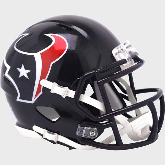 Houston Texans mini helmet