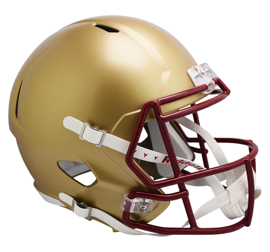 Montana Grizzlies full size replica helmet