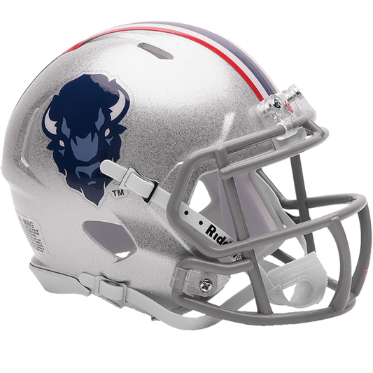 Howard Bison mini helmet