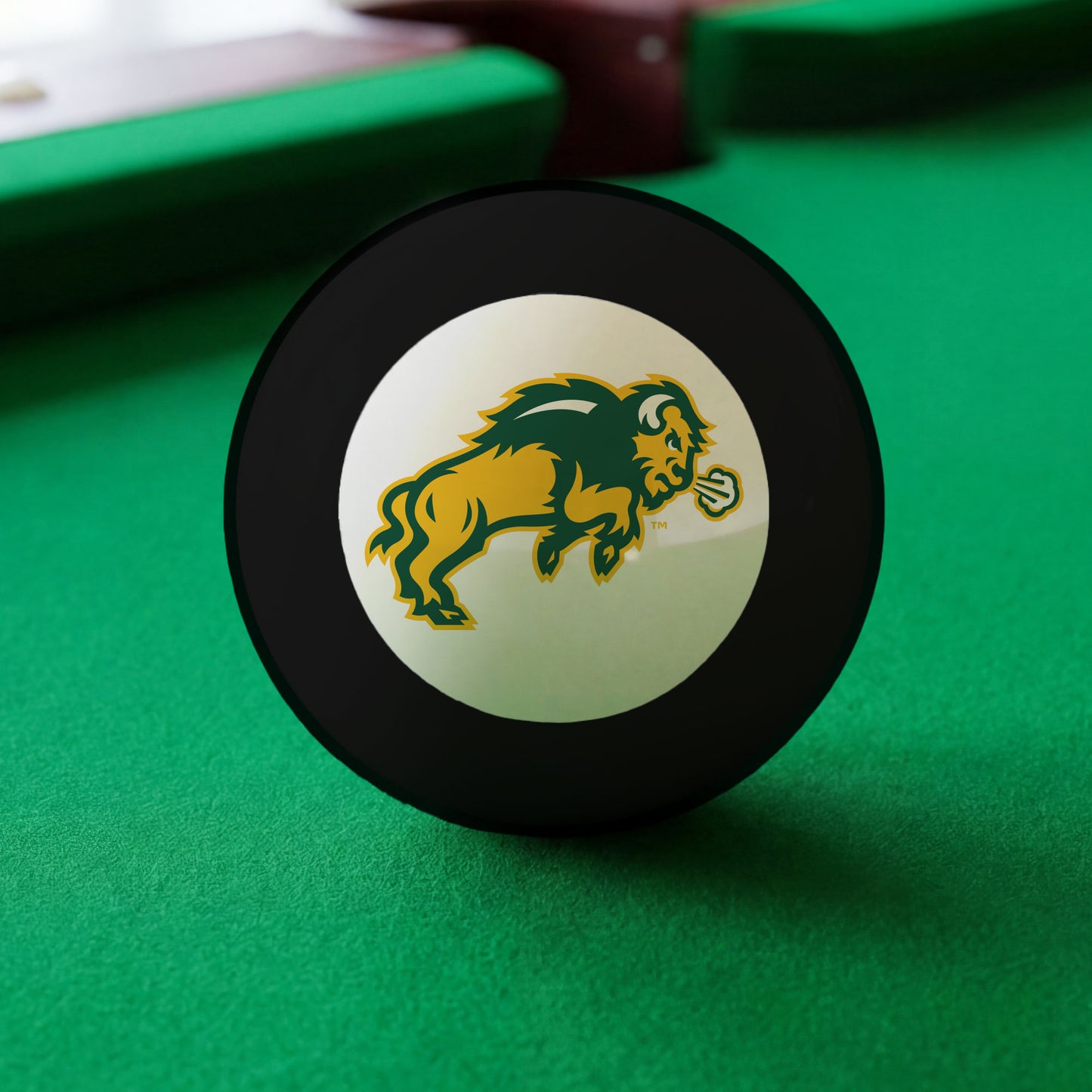 Official North-Dakota-State-Bison-Pool-8-Ball Collegiate 8-Ball Lined Up on Green Felt Pool Table Surface with Billiard Ball Rack