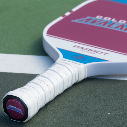 Colorado Avalanche Sport Plus pickleball paddle back view on the court
