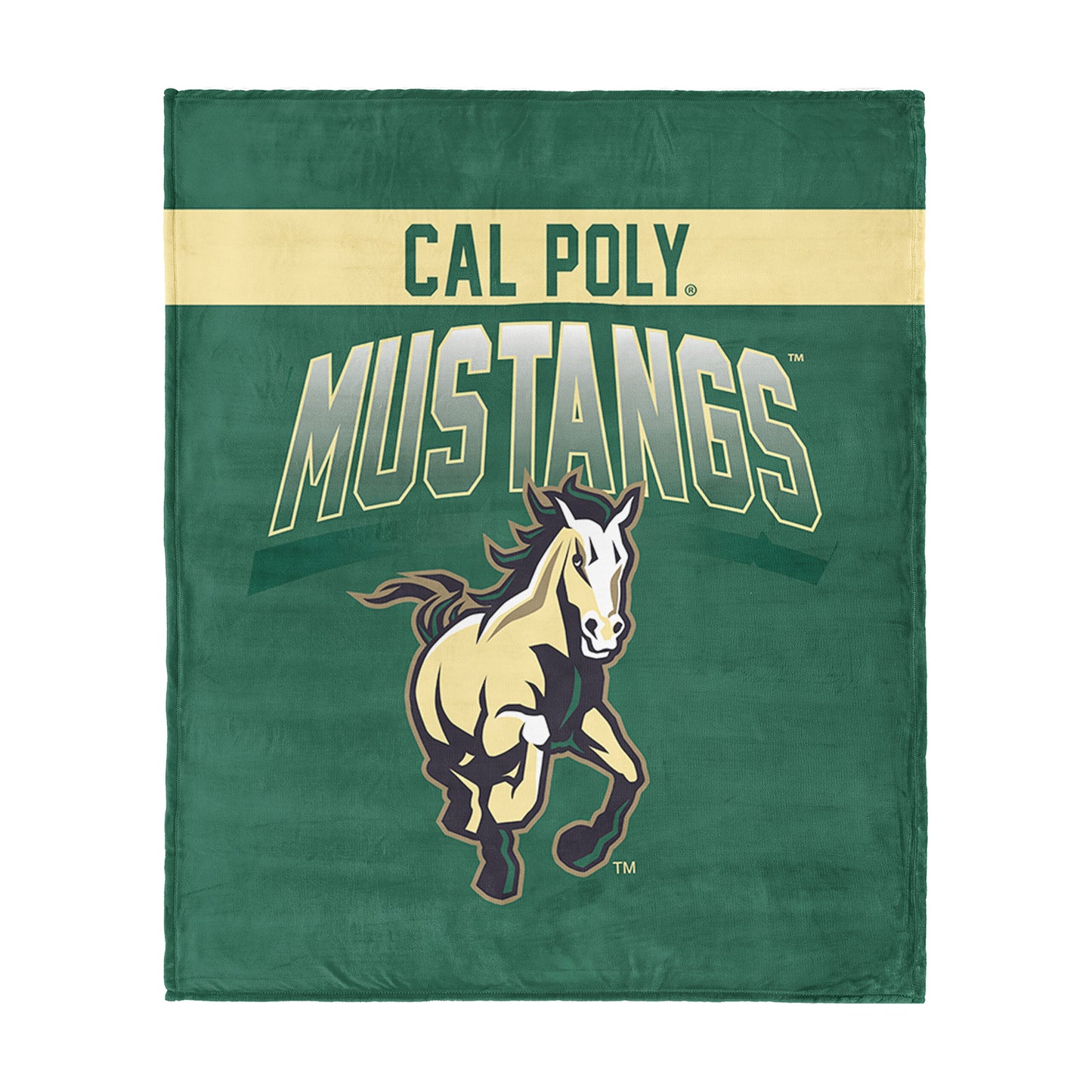 Nascar Driver Name silk touch throw blanket