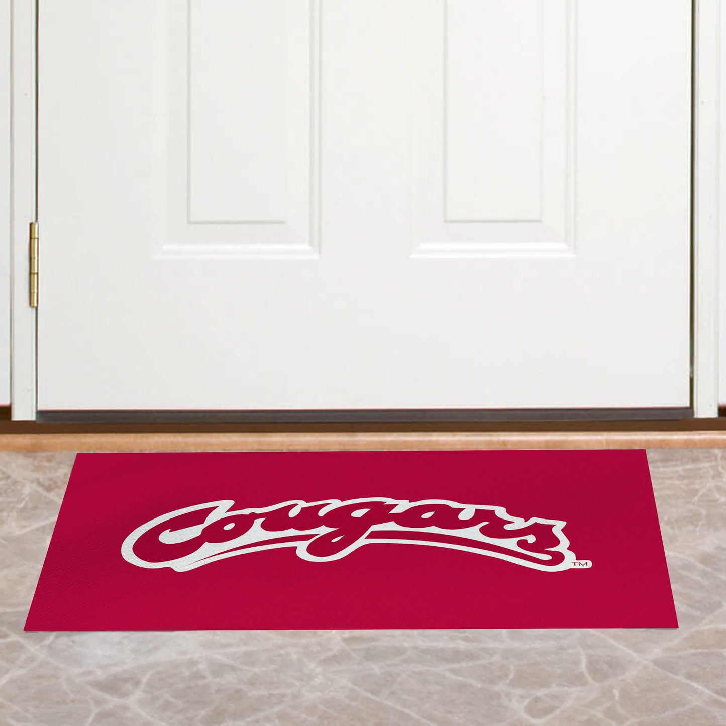 Washington State Cougars Washable Rug