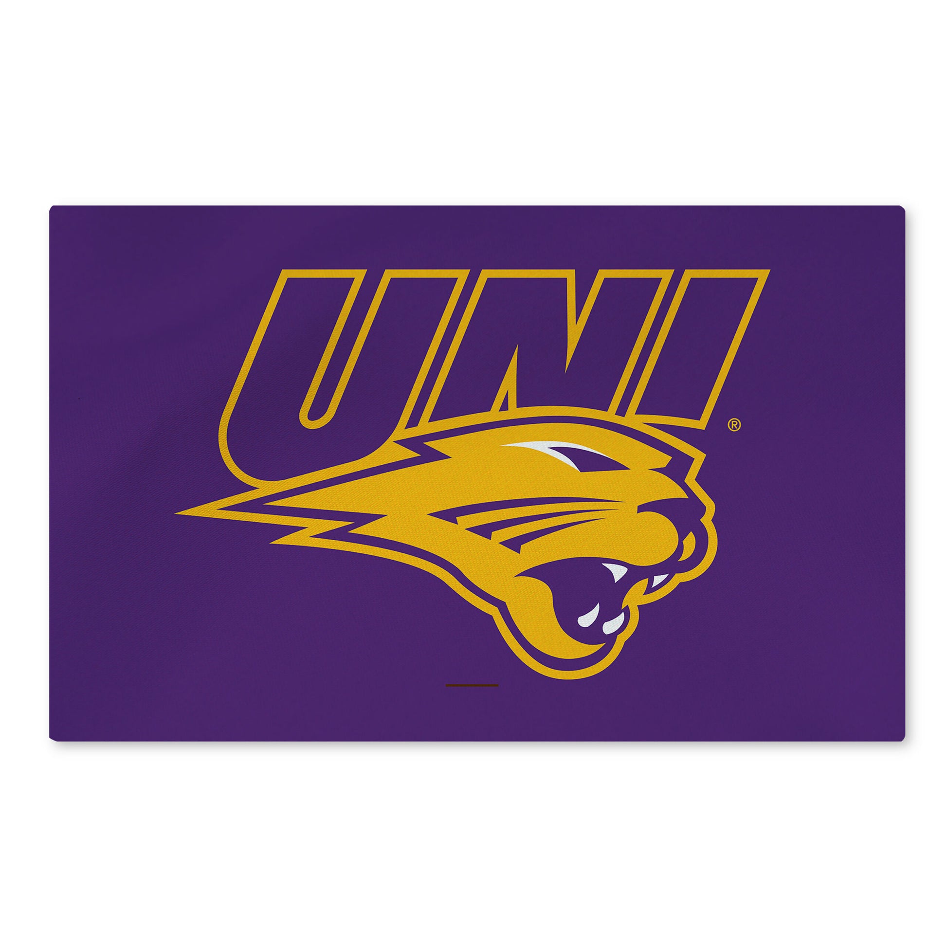 Northern Iowa Panthers Large Washable Rug