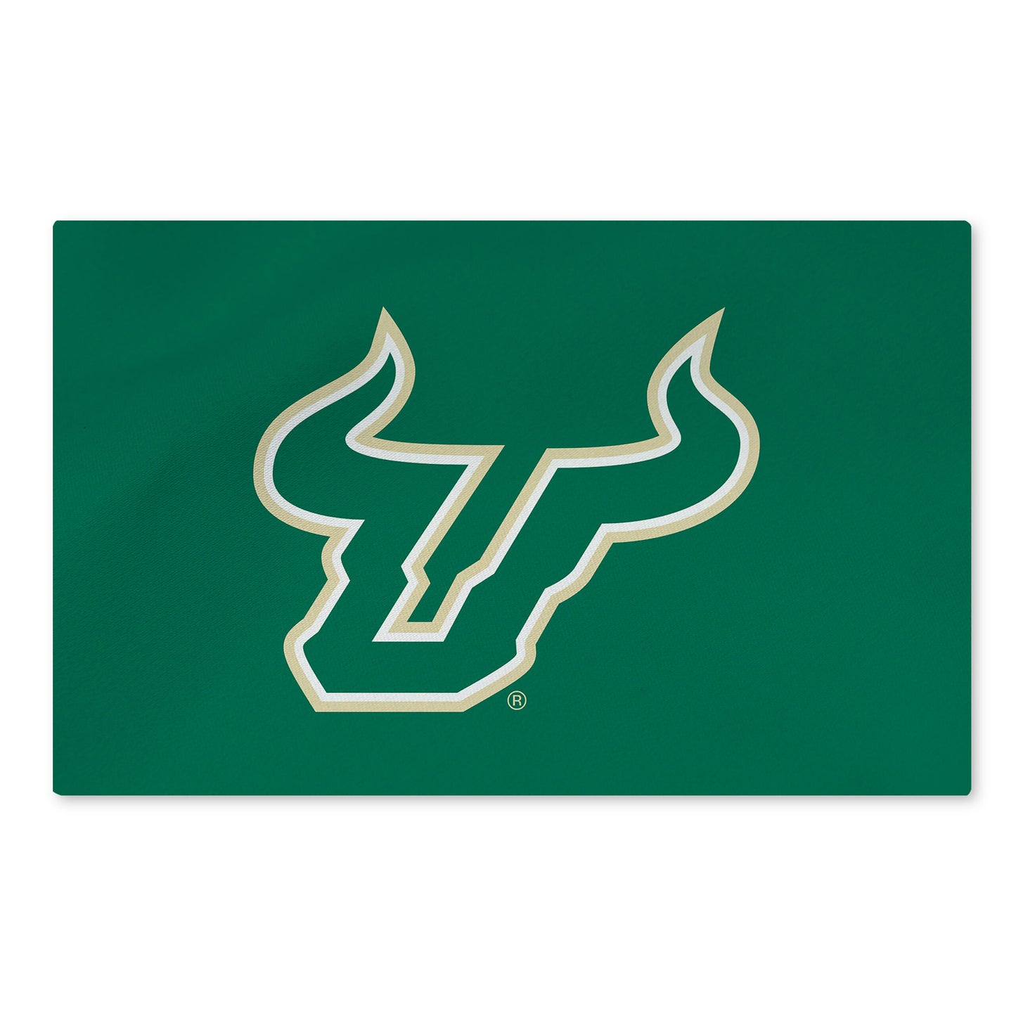South Florida Bulls Large Washable Rug