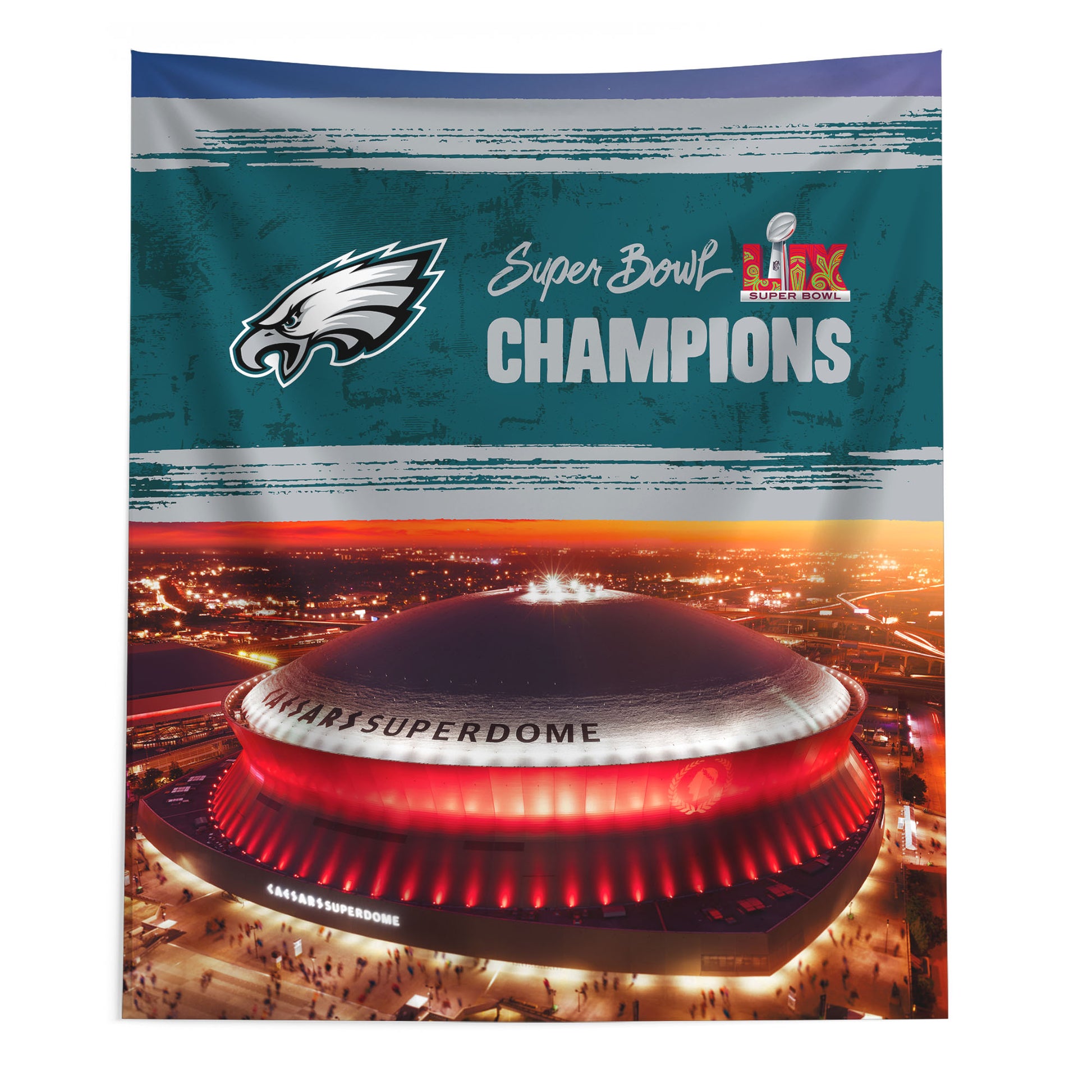 Philadelphia Eagles Super Bowl Champs Large Wall Hanging