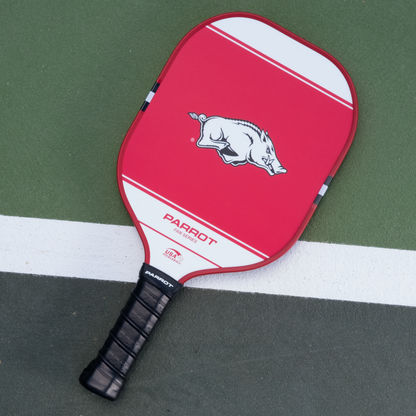 Arkansas Razorbacks Sport Plus pickleball paddle back view on the court