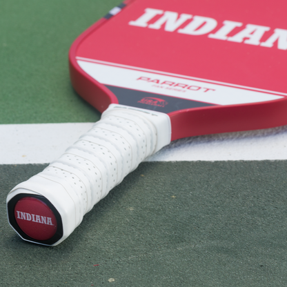 Indiana Hoosiers Sport Plus pickleball paddle on the court