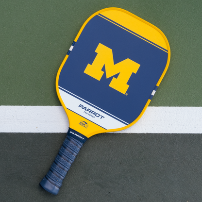 Michigan Wolverines Sport Plus pickleball paddle back view on the court