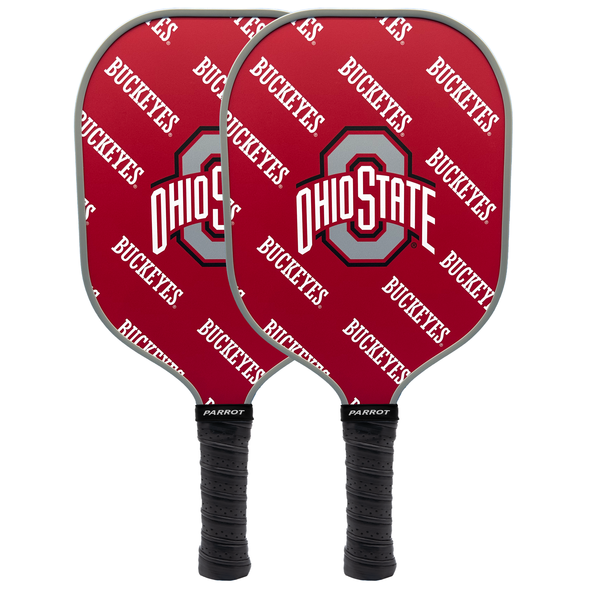 Ohio State Buckeyes pickleball paddle set