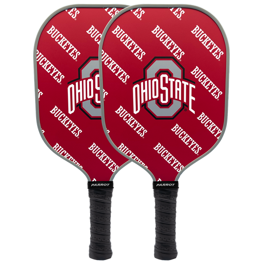 Ohio State Buckeyes pickleball paddle set
