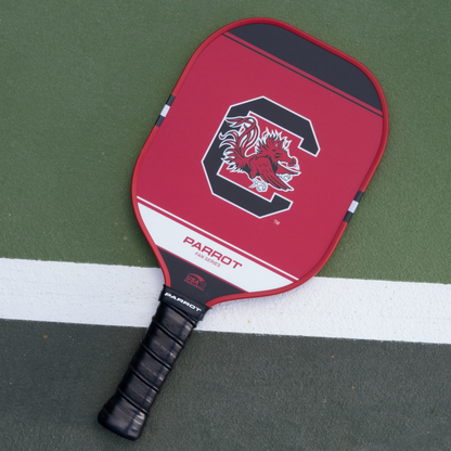 South Carolina Gamecocks Sport Plus pickleball paddle back view on the court