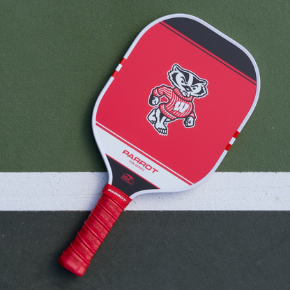 Wisconsin Badgers Sport Plus pickleball paddle back view on the court