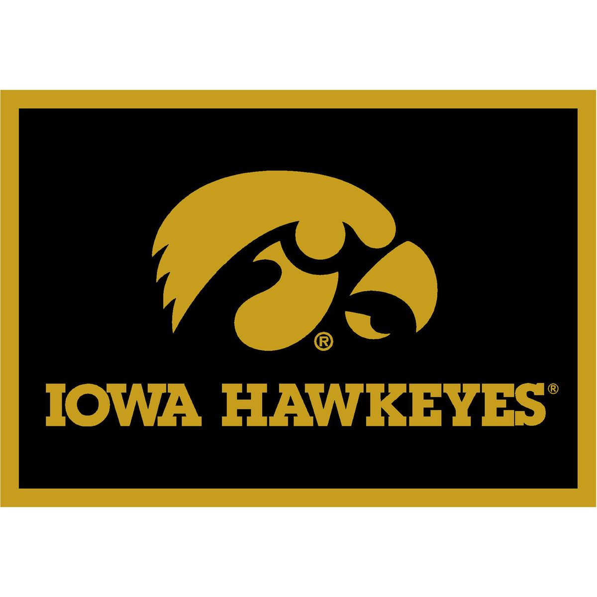 Iowa Hawkeyes Spirit Rug - Officially Licensed NCAA Area Rug