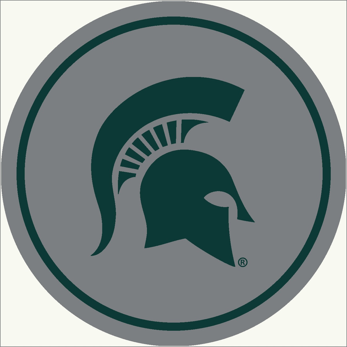 Michigan State Spartans Round Spirit Rug - Officially Licensed NCAA Area Rug