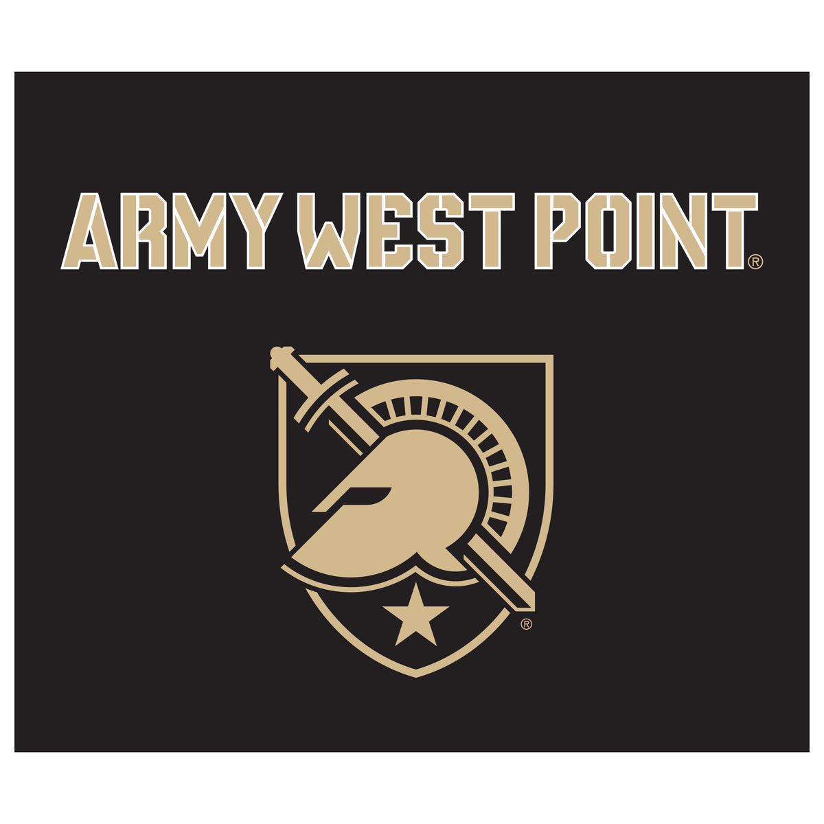 Army Black Knights NCAA Hanging wall tapestry flat artwork