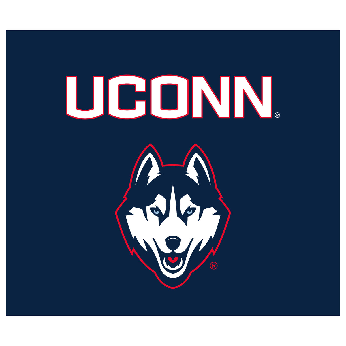 Connecticut Huskies NCAA Hanging wall tapestry flat artwork
