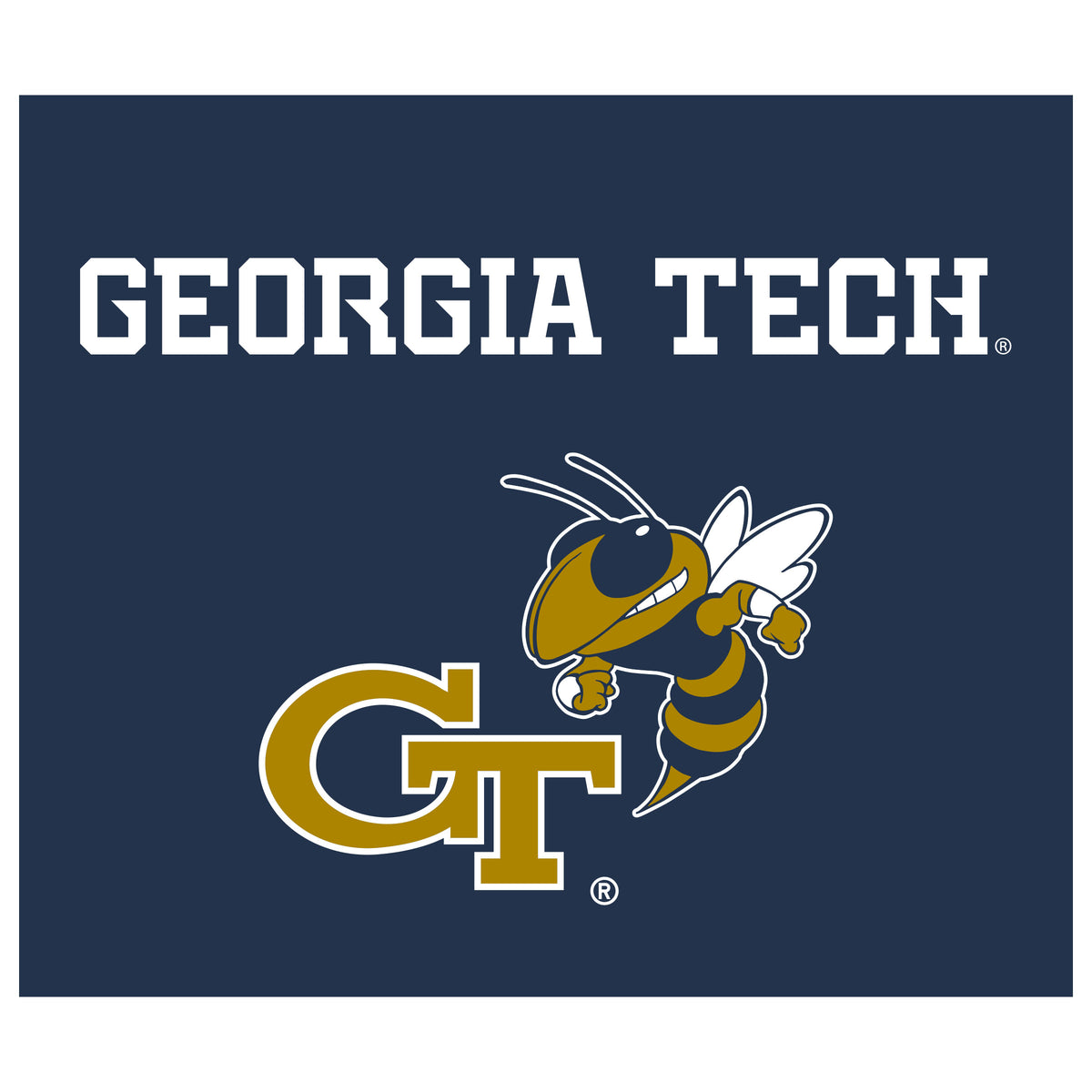 Georgia Tech Yellow Jackets NCAA Hanging wall tapestry flat artwork