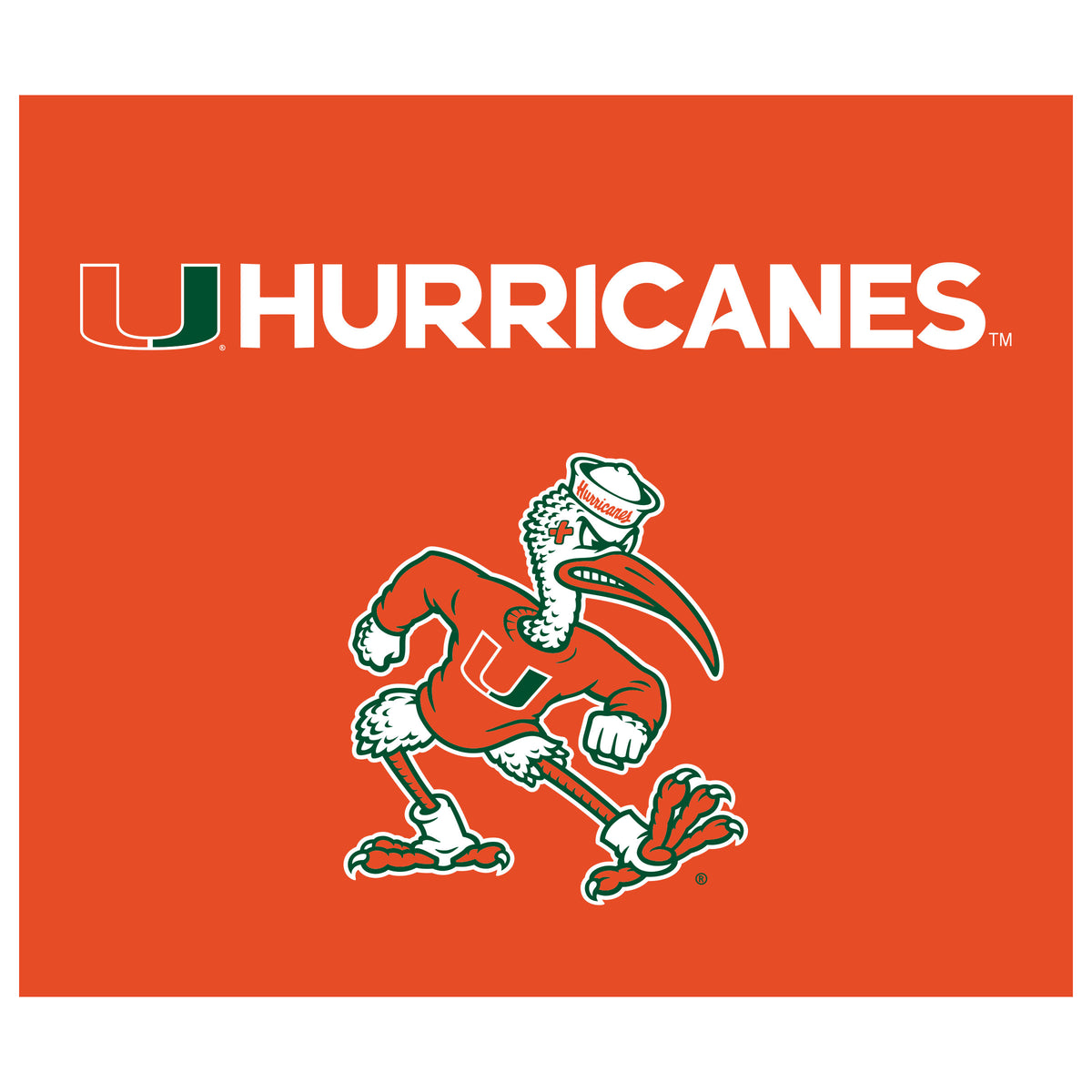 Miami Hurricanes NCAA Hanging wall tapestry flat artwork
