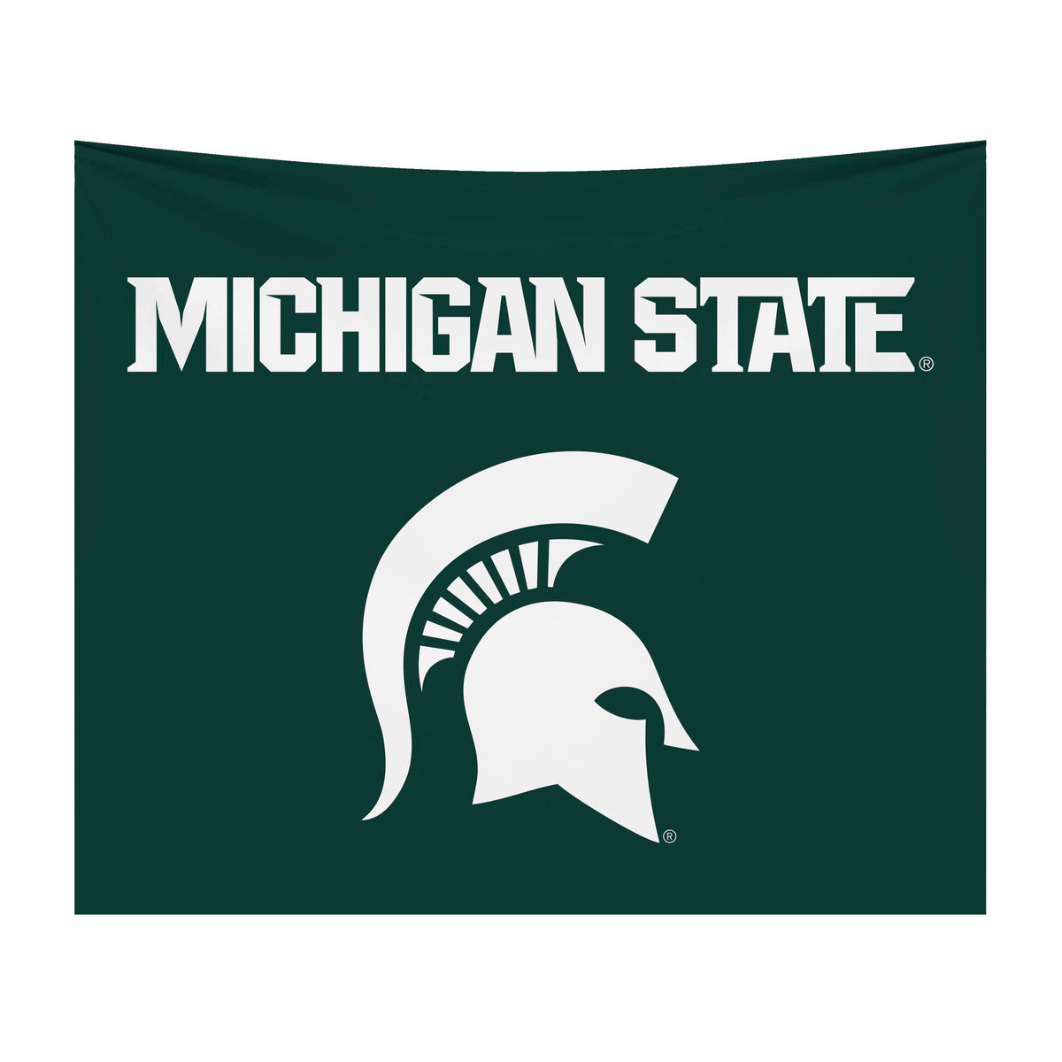 Michigan State Spartans NCAA Hanging wall tapestry