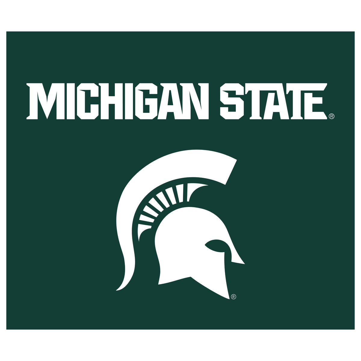 Michigan State Spartans NCAA Hanging wall tapestry flat artwork