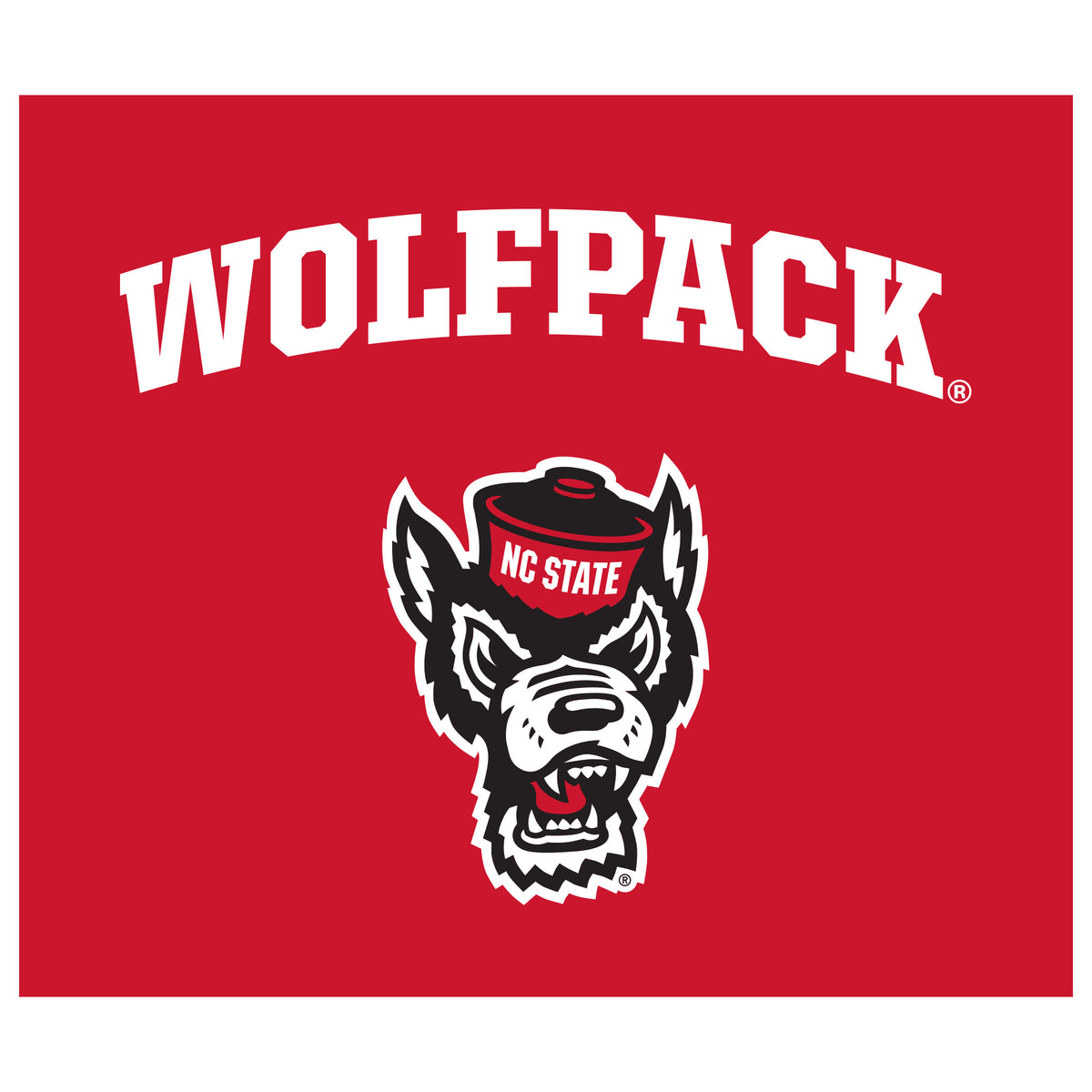 NC State Wolfpack NCAA Hanging wall tapestry flat artwork
