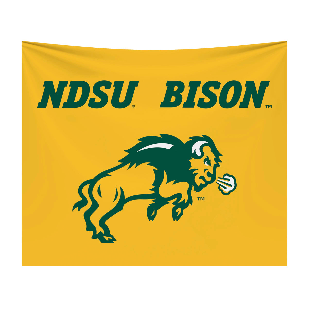 North Dakota State Bison NCAA Hanging wall tapestry