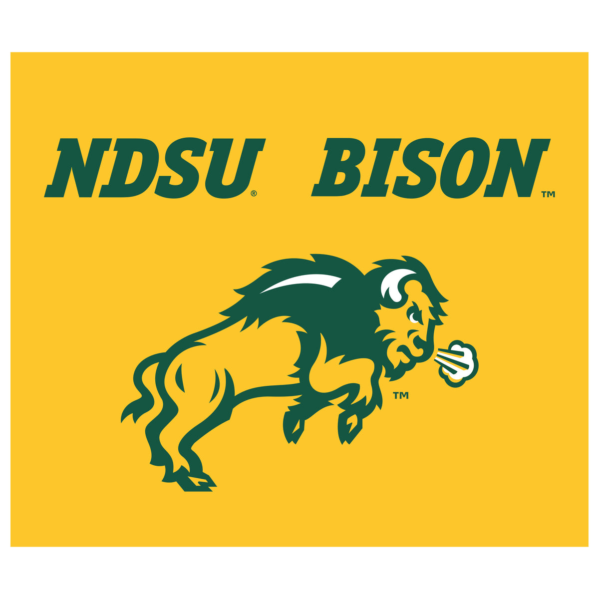 North Dakota State Bison NCAA Hanging wall tapestry flat artwork