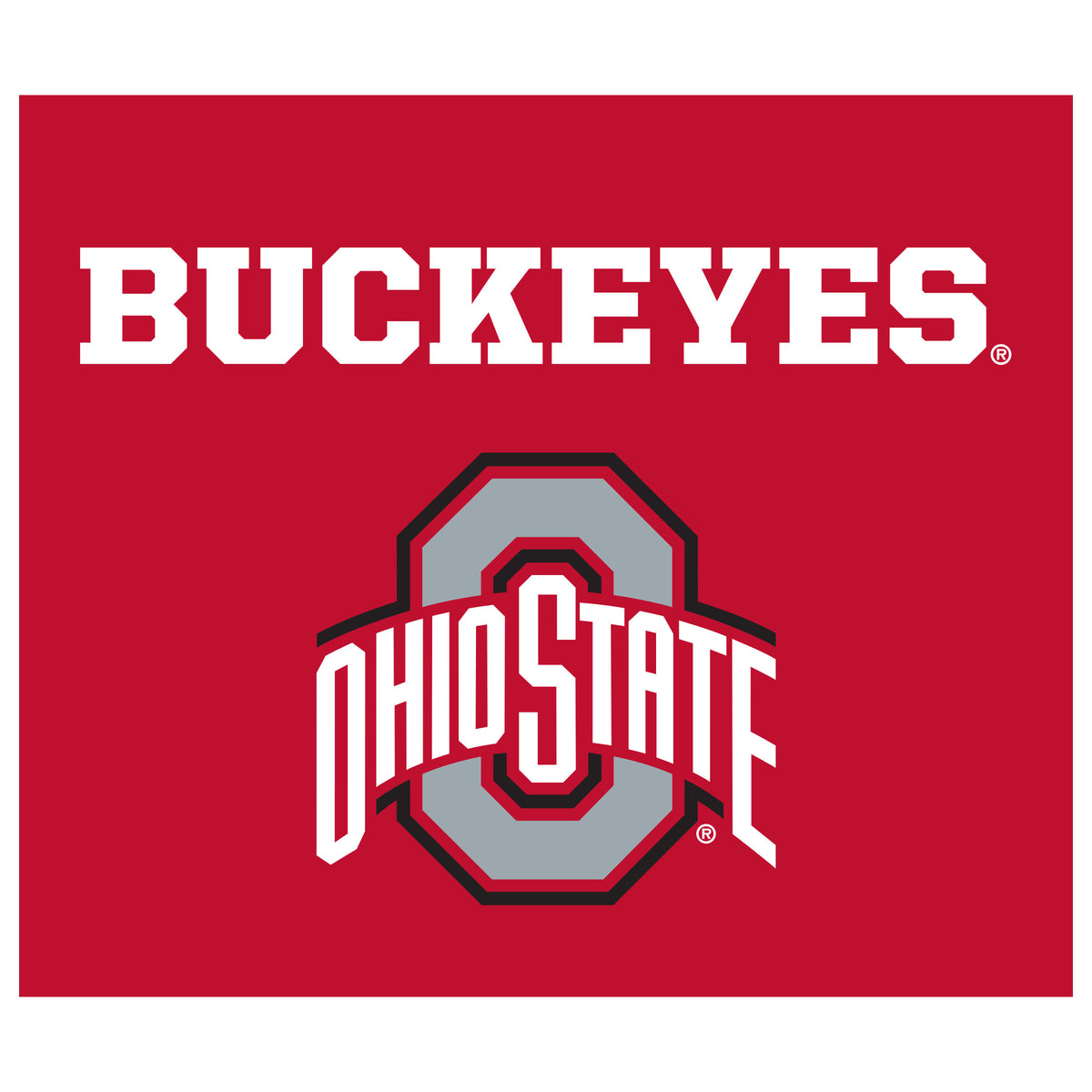 Ohio State Buckeyes NCAA Hanging wall tapestry flat artwork