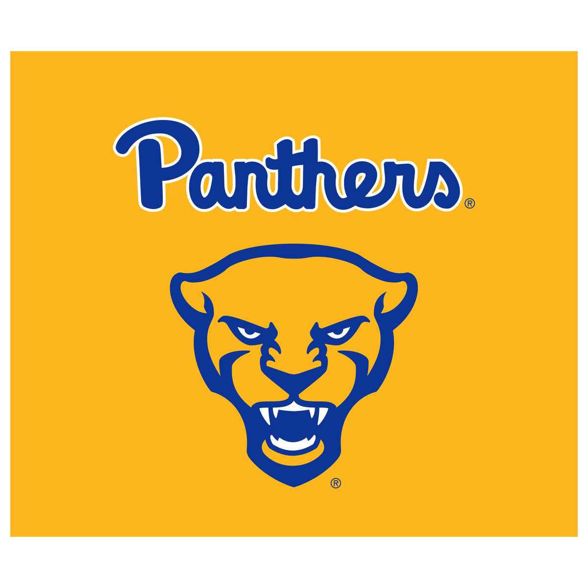 Pittsburgh Panthers NCAA Hanging wall tapestry flat artwork