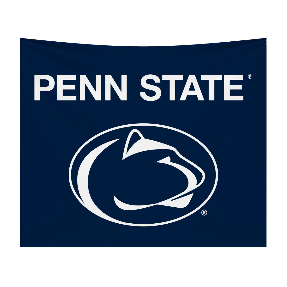 Penn State Nittany Lions NCAA Hanging wall tapestry