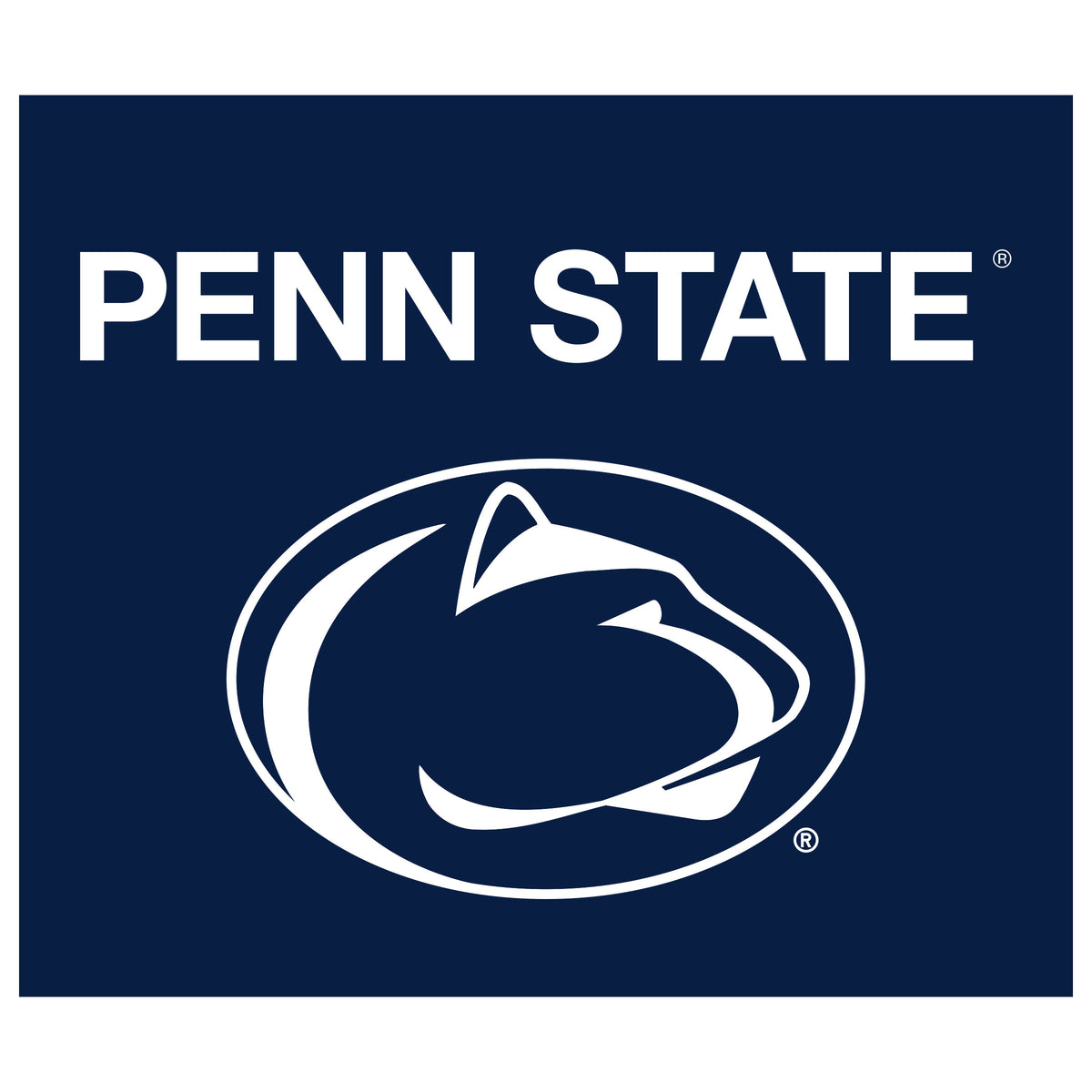 Penn State Nittany Lions NCAA Hanging wall tapestry flat artwork