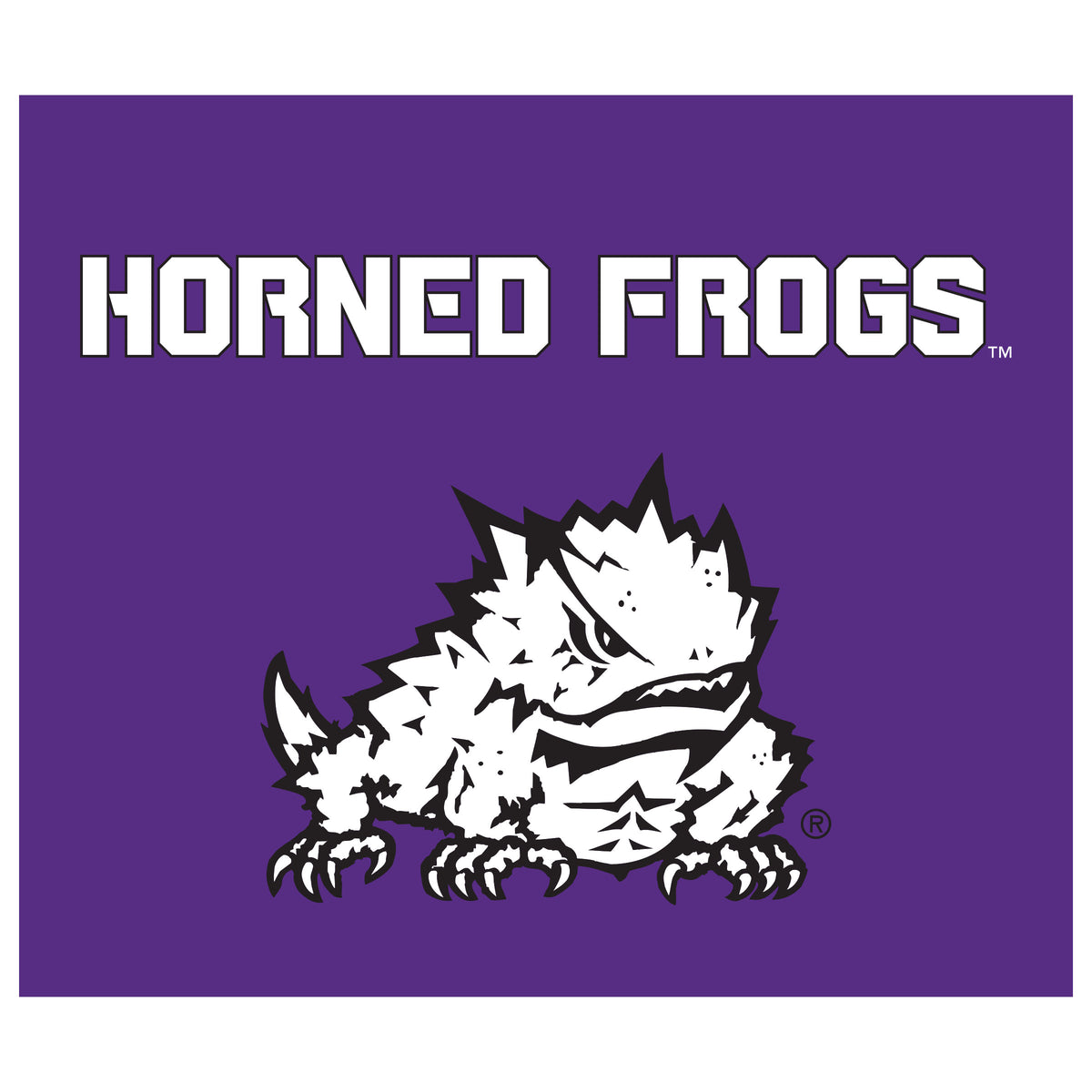 TCU Horned Frogs NCAA Hanging wall tapestry flat artwork