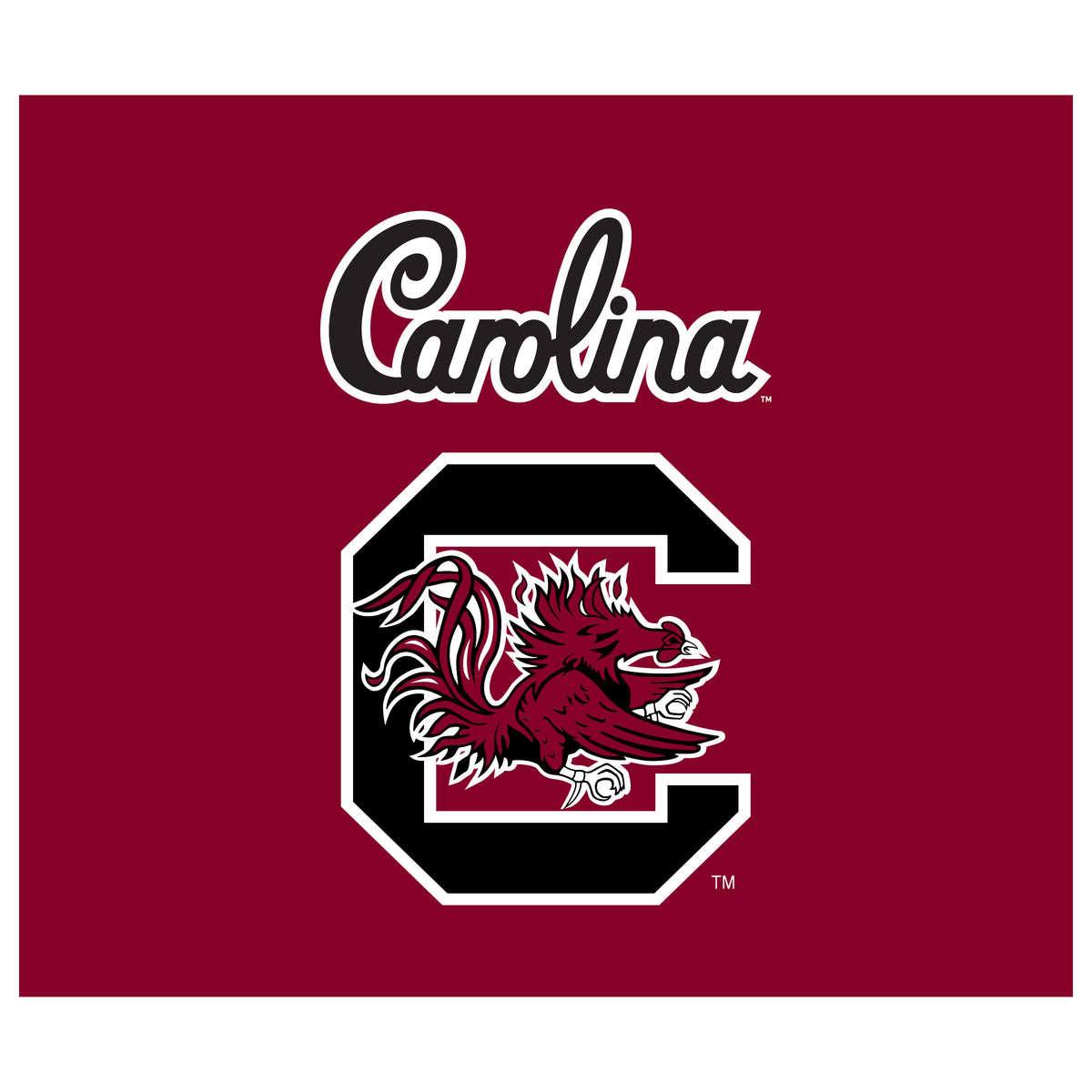 South Carolina Gamecocks NCAA Hanging wall tapestry flat artwork