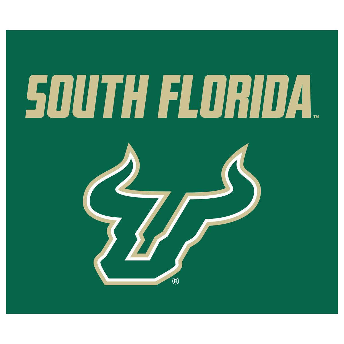 South Florida Bulls NCAA Hanging wall tapestry flat artwork