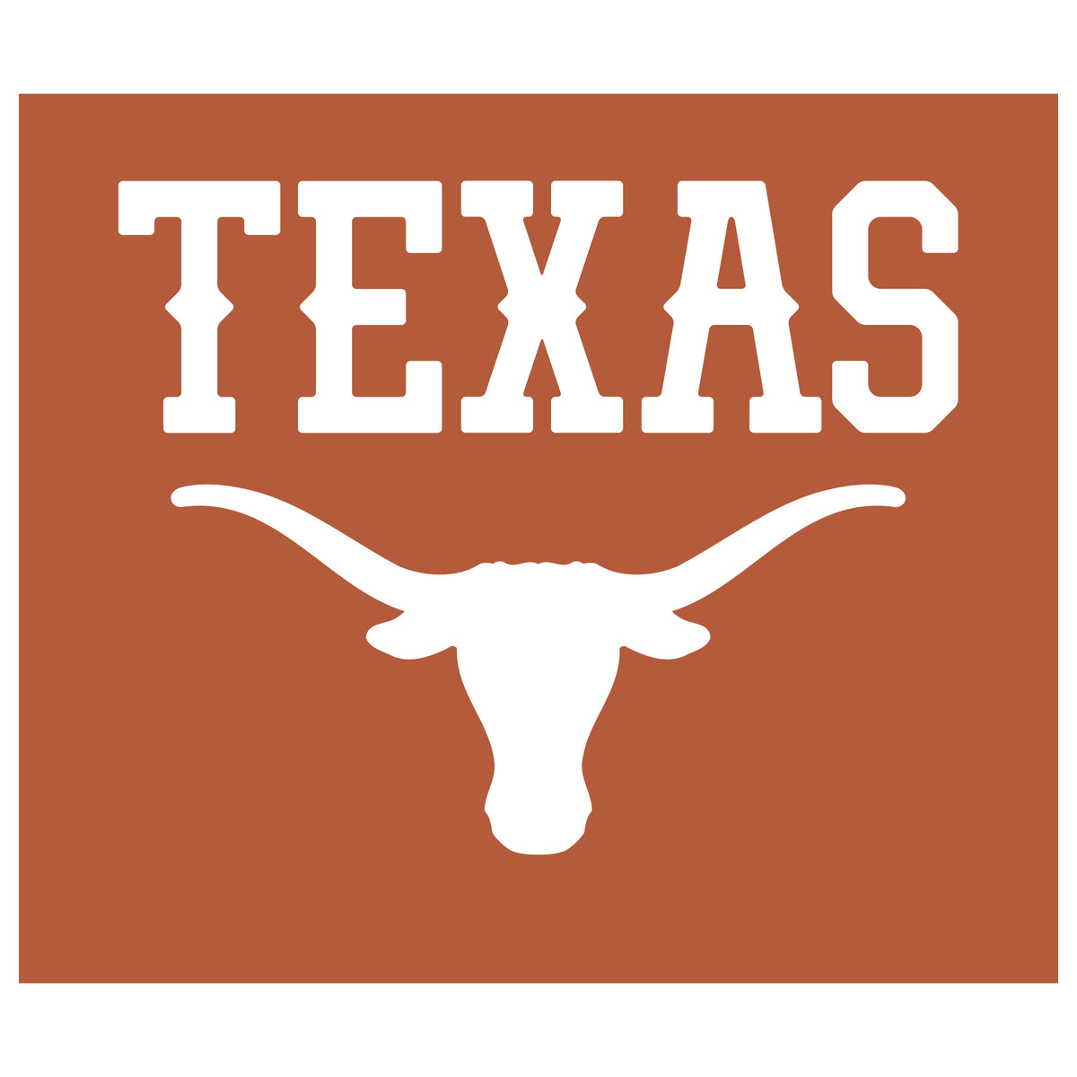Texas Longhorns NCAA Hanging wall tapestry flat artwork