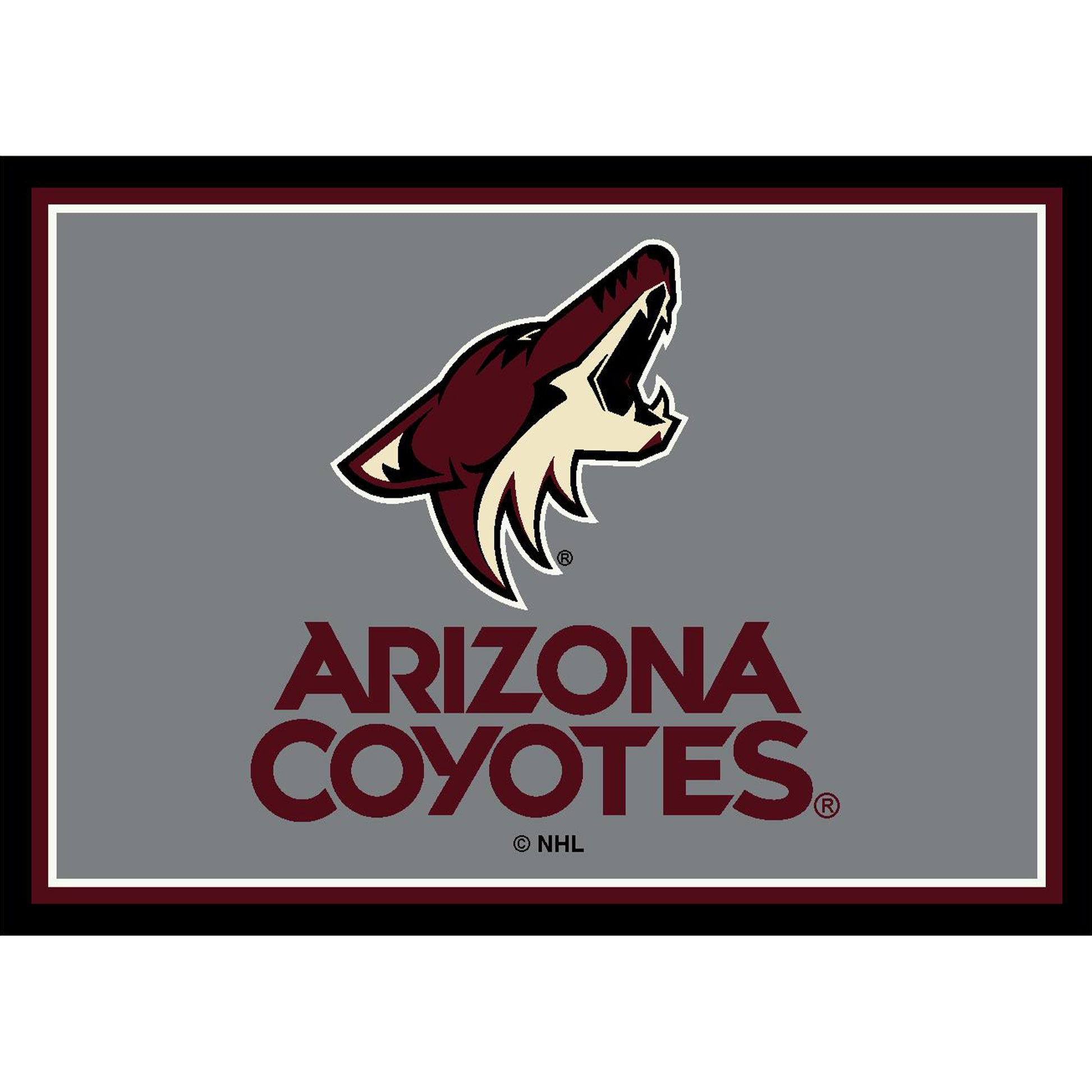 Arizona Coyotes distressed style area rug