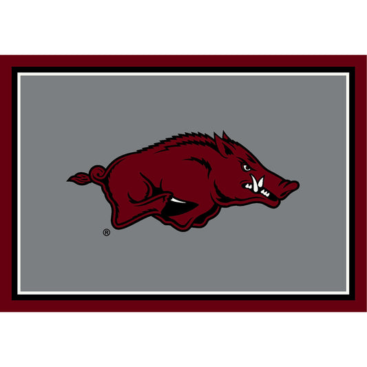 Arkansas Razorbacks distressed style area rug