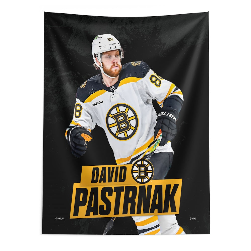 Boston Bruins David Pastrnak wall hanging