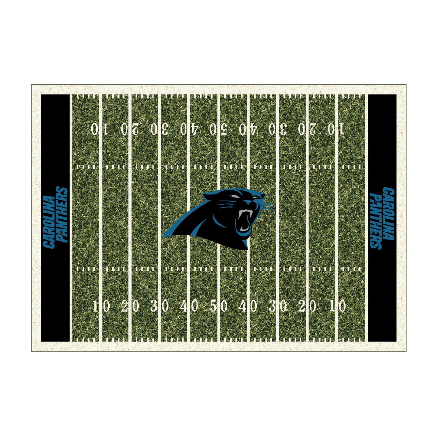 Carolina Panthers home field style area rug