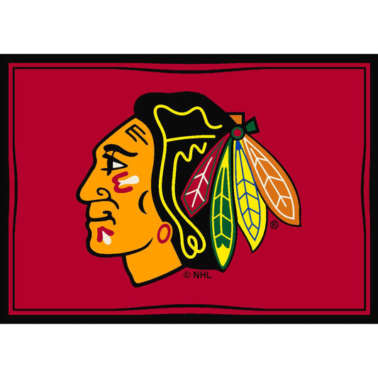 Chicago Blackhawks distressed style area rug