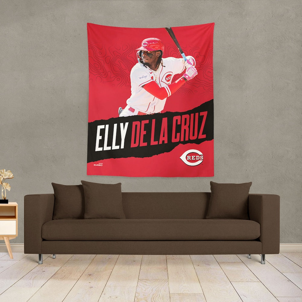 Cincinnati Reds Elly De La Cruz wall poster