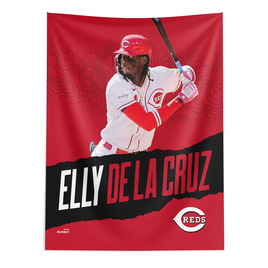 Cincinnati Reds Elly De La Cruz wall hanging