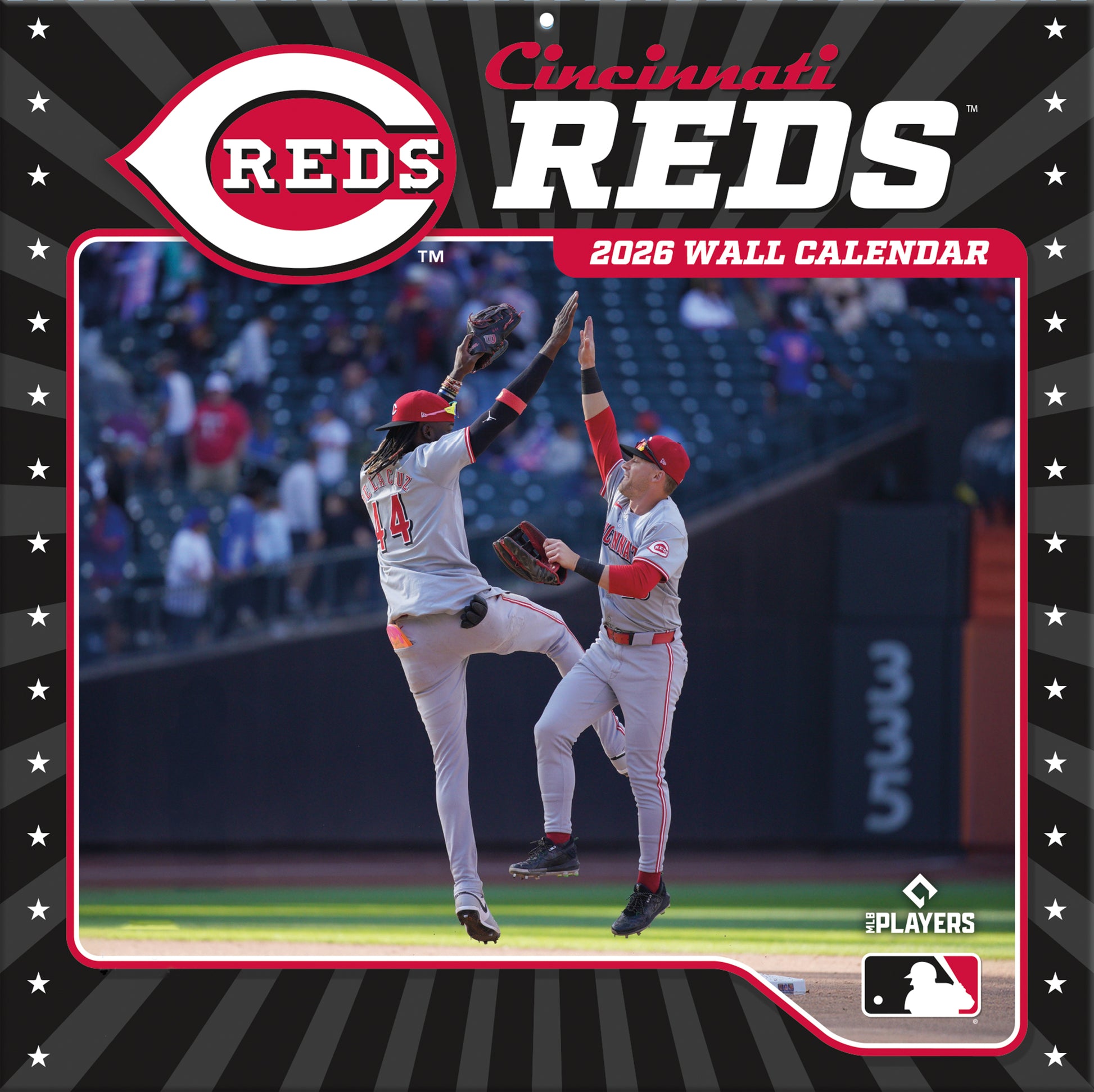 Cincinnati Reds Team Photos Wall Calendar