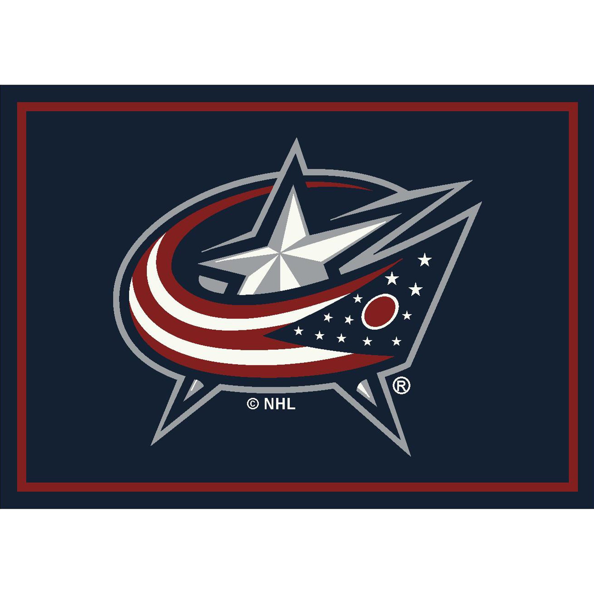 Columbus Blue Jackets distressed style area rug